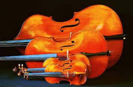housle, viola, violoncello, kontrabas